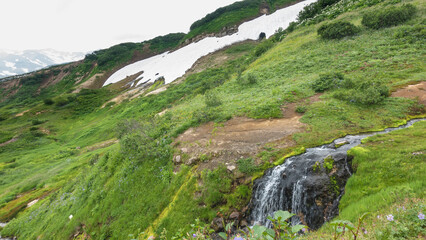 Fototapeta na wymiar On the hillside you can see green vegetation, wildflowers, melted snow. In the foreground is a stream turning into a small waterfall. Kamchatka