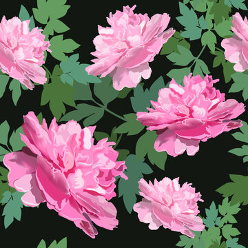 Vector seamless floral pattern with pink peony flowers. Texture for background, fabric design, wrapping paper.