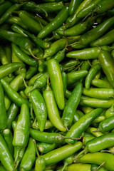 Green chilies serrano placed on a shelf for sale within a market
