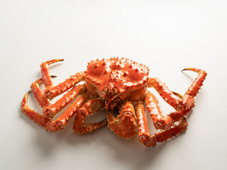 fresh king crab on white background
