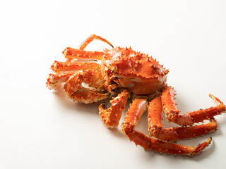 fresh king crab on white background