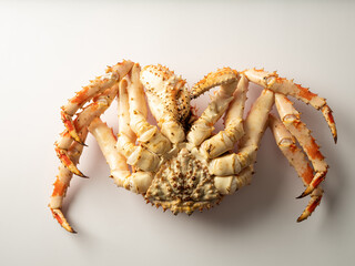 fresh king crab on white background