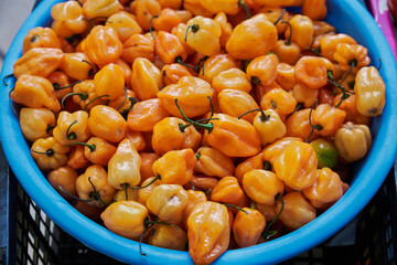 Orange habanero peppers placed on a shelf for sale inside a market