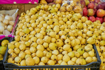 Juicy guavas placed on a shelf for sale inside a market