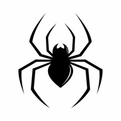 spider isolated on white background
