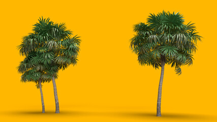 3d render green palm trees on the right and left sides on a yellow background with space for text in the center. travel vacation background
