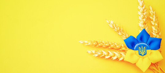 Blue yellow background. Ukrainian flower trident symbol with wheat grain ear isolated on yellow....