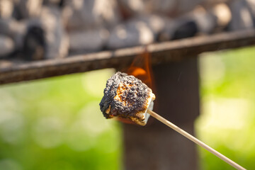 A burned marshmallow on a stick.