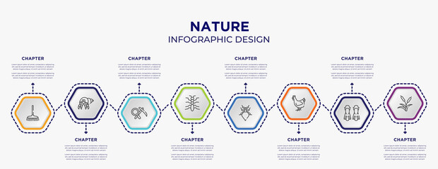 nature concept infographic template with 8 step or option. included rake, hermit crab, tree lobster, leaf insect, hen, reeds icons for abstract background.