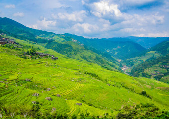 Fototapeta na wymiar Terraced fields in Guangxi Zhuang Autonomous Region, China 