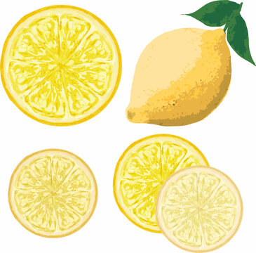 輪切り Images Browse 5 791 Stock Photos Vectors And Video Adobe Stock 輪切り Images Browse 5 791 Stock Photos Vectors And Video Adobe Stock