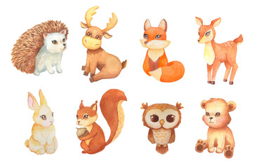 Illustration of watercolor cute hedgehog, bear, fox and deer. Hand drawn character forest animal isolated on white. Woodland illustration