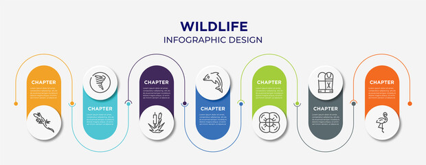 wildlife concept infographic design template. included lizard, tornado, bulrush, dolphin, poppy, sarcophagus, flamingo icons for abstract background.