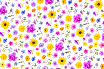Fototapeta na wymiar Bright pattern of colorful flowers on a white background, as a backdrop or texture. Spring, summer floral wallpaper for your design. Top view Flat lay