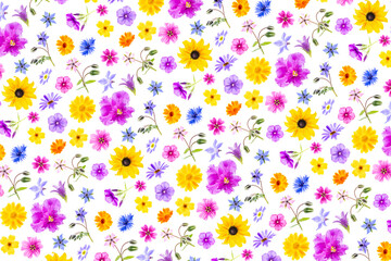 Bright pattern of colorful flowers on a white background, as a backdrop or texture. Spring, summer floral wallpaper for your design. Top view Flat lay