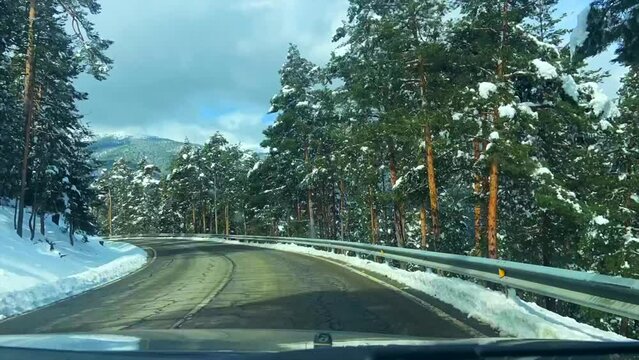 Time lapse from inside a car driving on mountain road with snowy trees around it
