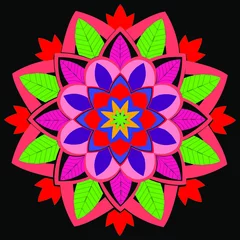 Fototapeten Vector hand drawn doodle mandala. Ethnic mandala with colorful tribal ornament. Isolated. Bright colors.indian,arabic,pakistani,turkish,chinees © AMS