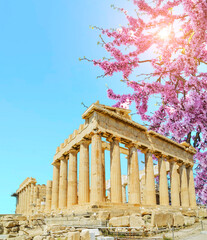 parthenon athens greece in sping season with redbud 's flowers and blue sky