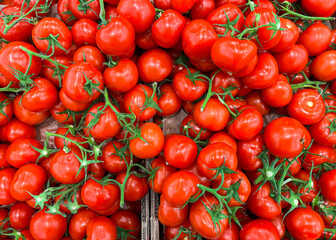 tomato green branch cherry tomatoes fruits on the counter of the market store healthy meal food snack copy space food background rustic diet veggie vegan