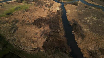 Fototapeta na wymiar Flight over the spring park. A river flows through the park. Aerial photography.