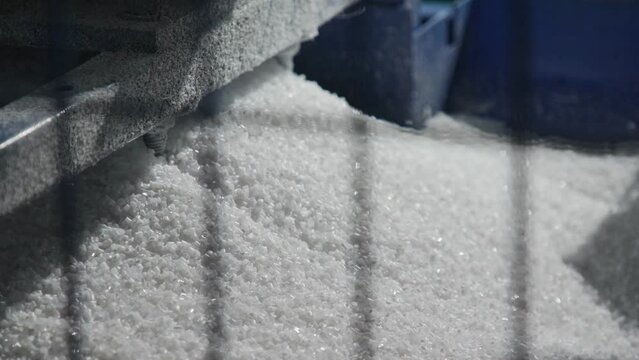 Plastic Granules Are Poured Into the Machine.Raw Material.Recycling.Clouseup