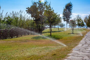 Fototapeta na wymiar Irrigation system sprinkles water on green lawn. Motion blur.