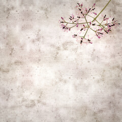 square stylish old textured paper background with pale lilac flowers of Melia azedarach, chinaberry tree 
