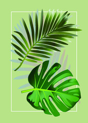 Vector poster with tropical leaves. Background of green leaves