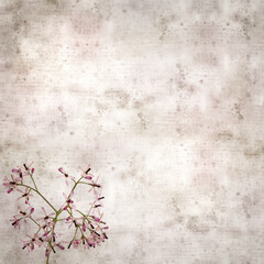 square stylish old textured paper background with pale lilac flowers of Melia azedarach, chinaberry tree 
