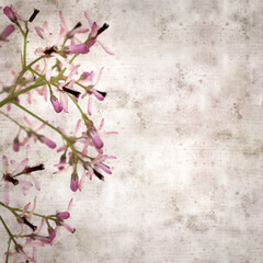 Fototapeta na wymiar square stylish old textured paper background with pale lilac flowers of Melia azedarach, chinaberry tree 