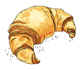 French croissant on white background