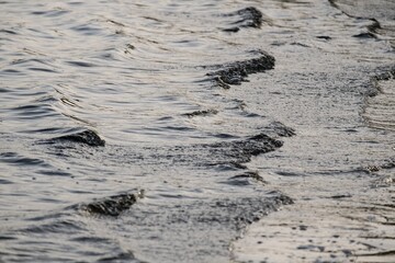 beautiful natural texture