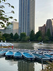 Ueno boat dock at the pond with evening sun light, downtown city view in the background.  Year 2022, spring April