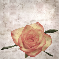 square stylish old textured paper background with yellow and orange rose