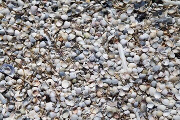 beautiful natural texture