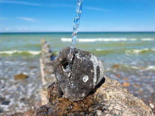 H&uuml;hnergott mit einem Wasserstrahl von oben an der Ostseek&uuml;ste