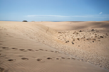 Dune of Corralejo in Fuerteventura, Spain.