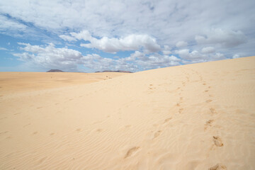 Fototapeta na wymiar Dune of Corralejo in Fuerteventura, Spain.