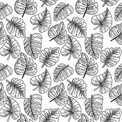 Seamless pattern depicting a tropical monster leaf. Leaves with scribble in sketch style. Tropics. Monster. Exotic leaves. Isolated vector illustration.