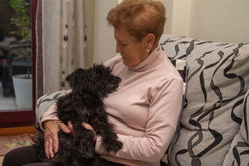 senior woman relax on the sofa in the living room with her dog