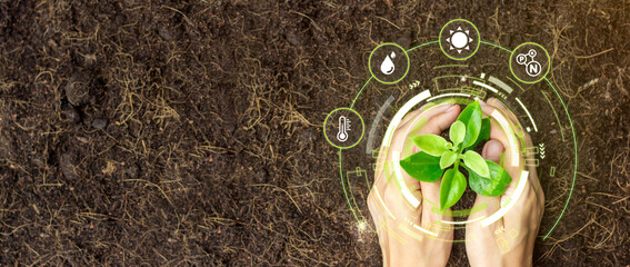 Two hands holding young plant with cyber display of technological smart farming 4.0-Smart Farming and Agriculture Innovation Concept.