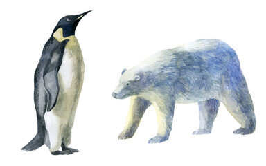 Watercolor illustration penguin and polar bear. Northern animals. Watercolor drawing.