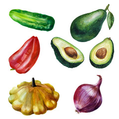 Watercolor illustration, set. Avocado, cucumber, pepper, patisson, onion. Watercolor drawing of vegetables.