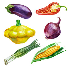 Watercolor illustration, set. Corn, patisson, green onion, eggplant, pepper, onion. Watercolor drawing of vegetables.