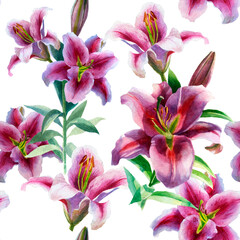Watercolor illustration, pattern. Flowers lilies. Pink buds of lilies in watercolor on a white background.