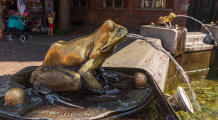 a golden frog and a flowing stream of water from its mouth to the fountain in the old town of torun © Micha