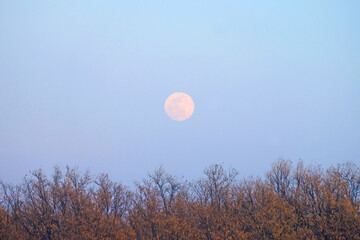 Fototapety na wymiar - Fototapeta24.pl