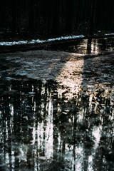 abstract texture of the earth's surface.top view