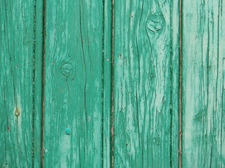 Fototapeta na wymiar Planches d'une vieille porte ou d'une barrière en bois peinte en vert