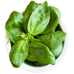 Ingredients for basil pesto preparation.